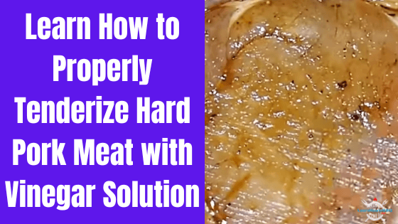 vinegar to tenderize pork meat